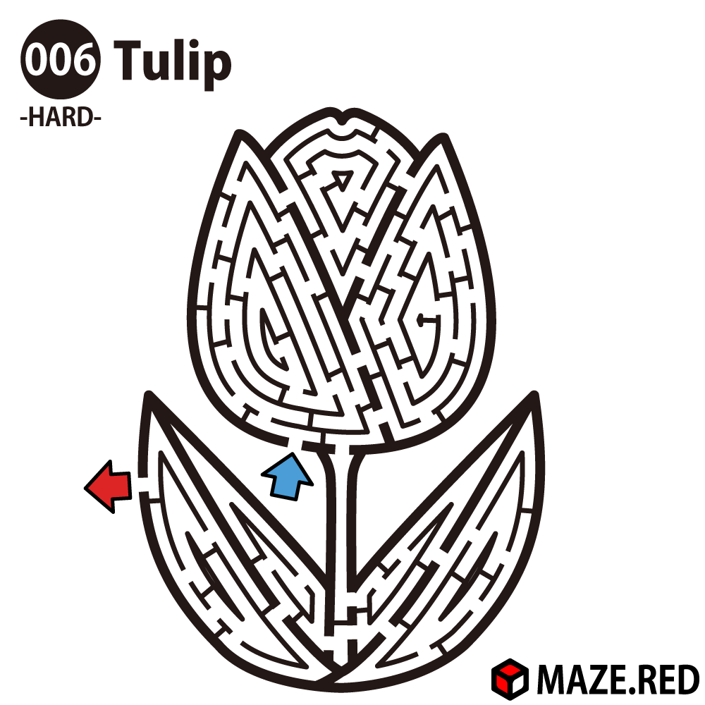 Difficult maze of the tulip